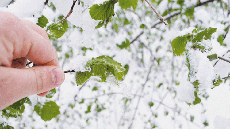 150 milyon TL dondu 150 milyon TL dondu