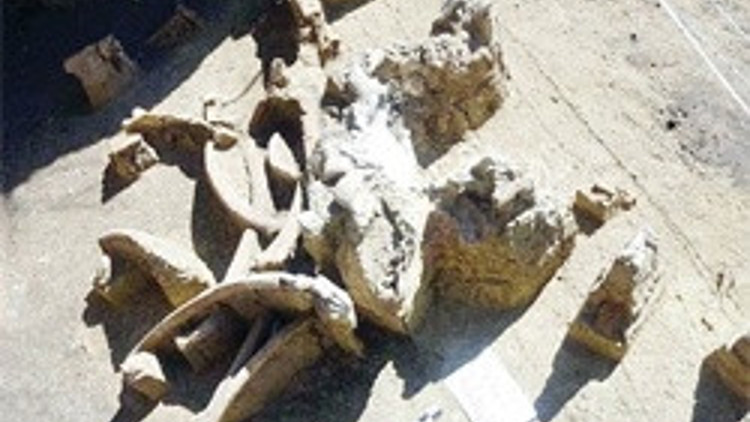 Sibiryalı kız Denisovan çıktı