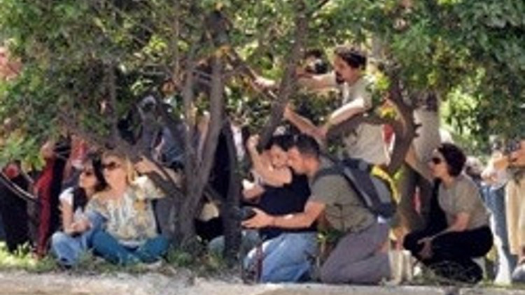 İBB: Gezi Parkında ağaç kesilmiyor İBB: Gezi Parkında ağaç kesilmiyor
