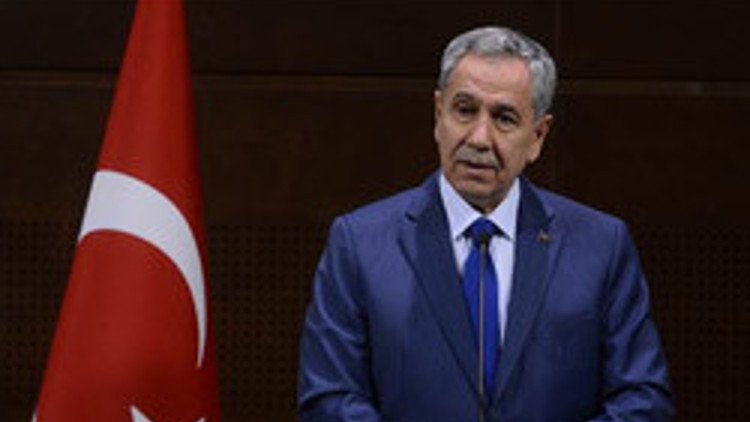 Arınç: Bazı cezalar fazla