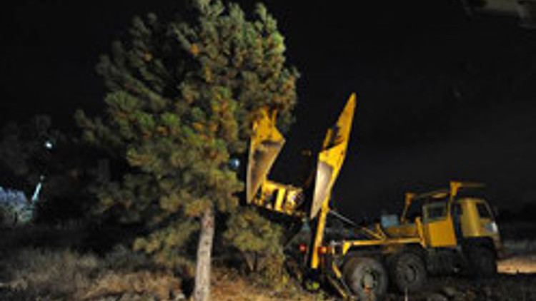 Yeni yola fidan diktiler