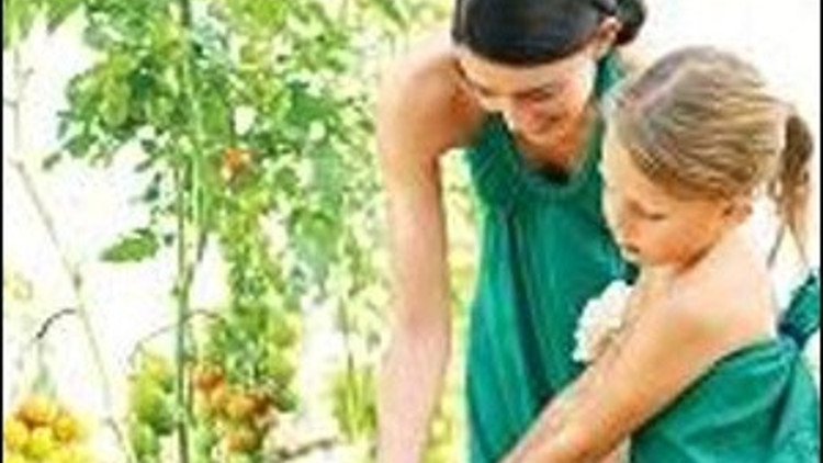 Tüm dünyada yükselen eğilim Mutfak bahçeciliği Tüm dünyada yükselen eğilim Mutfak bahçeciliği