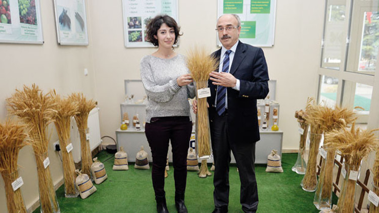 Dünyanın 3.  büyük gen bankasında 107 bin çeşit tohum saklanıyor