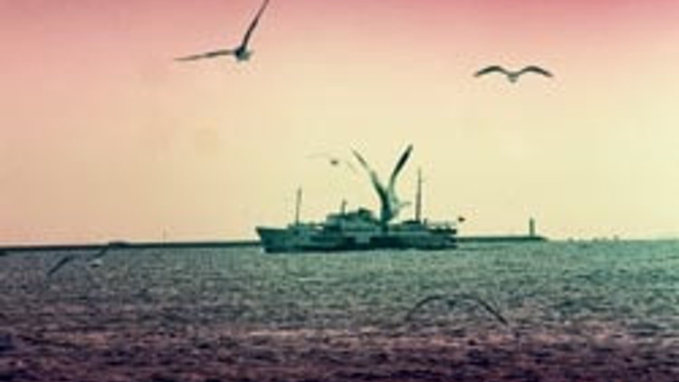 Bu sergi bir tesadüf eseri açıldı