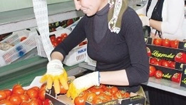 Gıda pahalılığında başa oynuyoruz