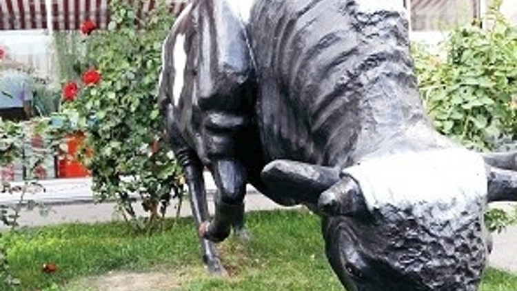 Et-Balık mağazalarına franchaising önerisi