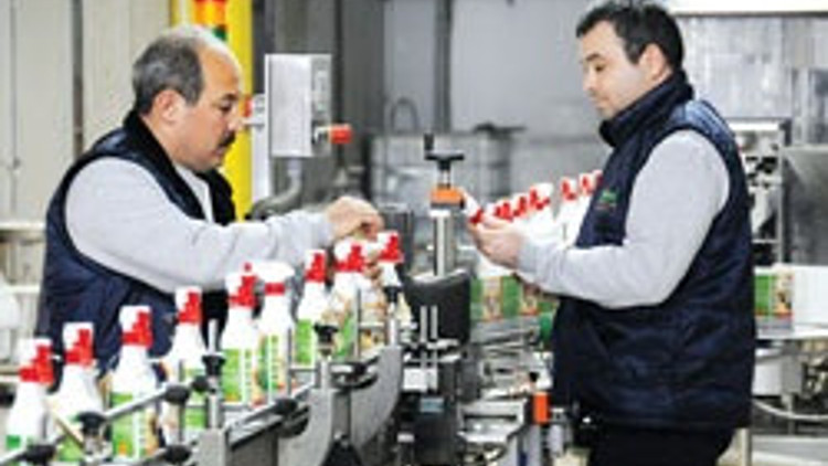 Kasımpatı çiçeğinden kokusuz haşere ilacı