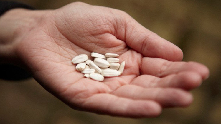 Dünyaya ay çekirdeğini öğrettik Dünyaya ay çekirdeğini öğrettik