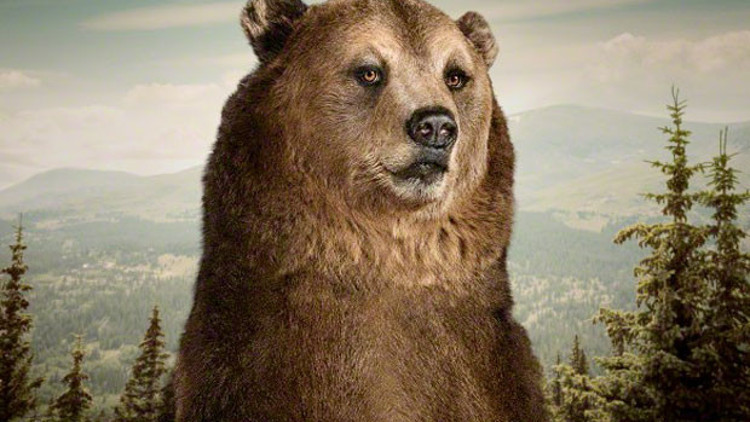 Öldüreni de var, süründüreni de