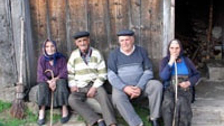 Ayollarning yoyilgan eshaklari