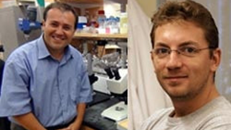 Tıp dünyasını heyecanlandıran keşifte Türk damgası Tıp dünyasını heyecanlandıran keşifte Türk damgası