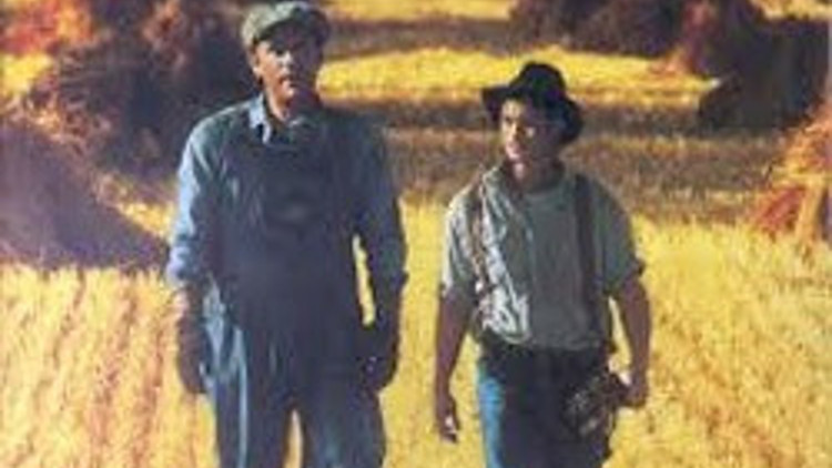 O kitapevinden açıklama