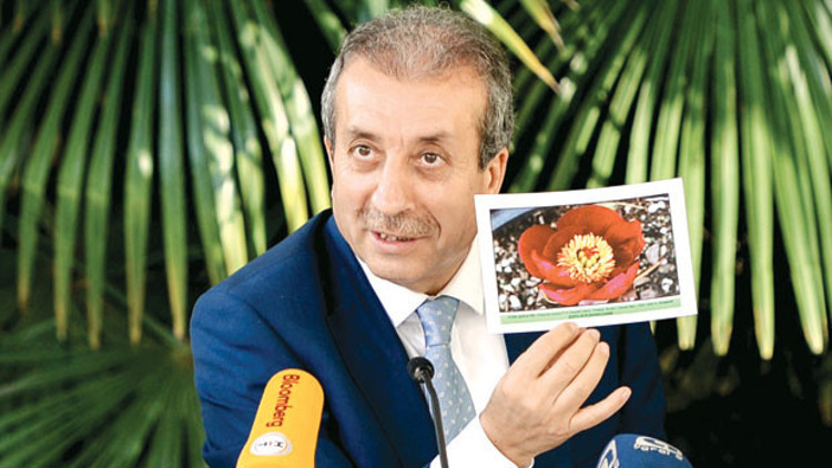 Endemik harekâtı