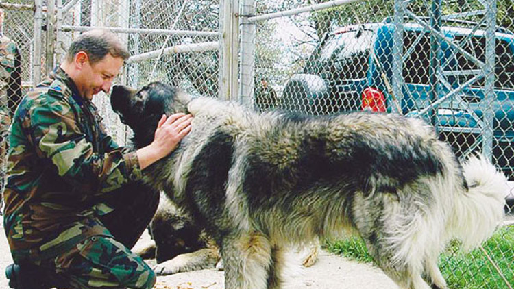 Geçmişimi geleceğimi elimden aldılar