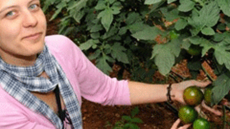 Kanser düşmanı Kumato Türkiyede