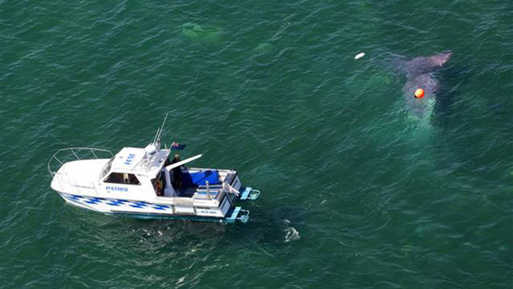 Uçak düştü herkes kurtuldu