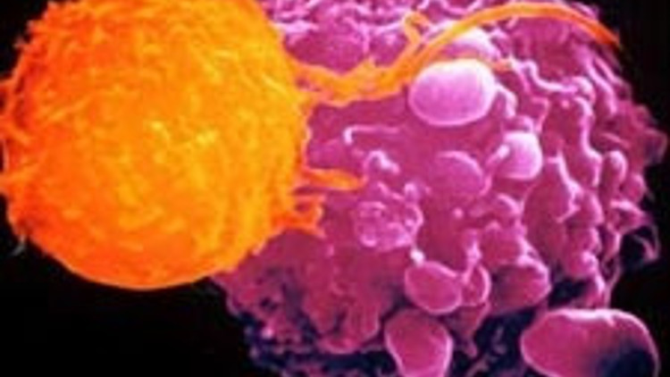 Kanserle mücadelede yeni umut