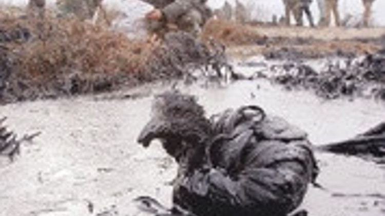 Dökülen motorin Karadenize yayılıyor