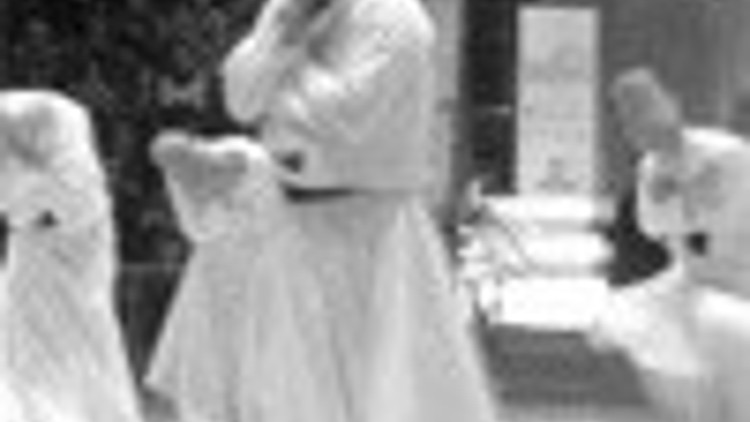 ’Assembly of Moths’ by Afghan poet now in Turkish