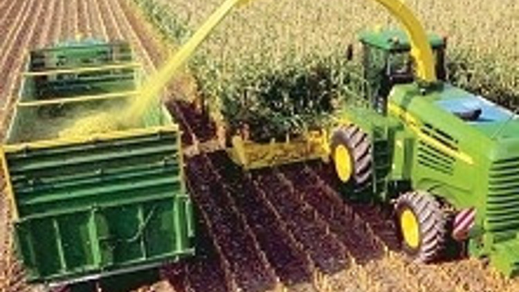 Sektörel istihdam artışında tarımsal gelişme dikkat çekiyor
