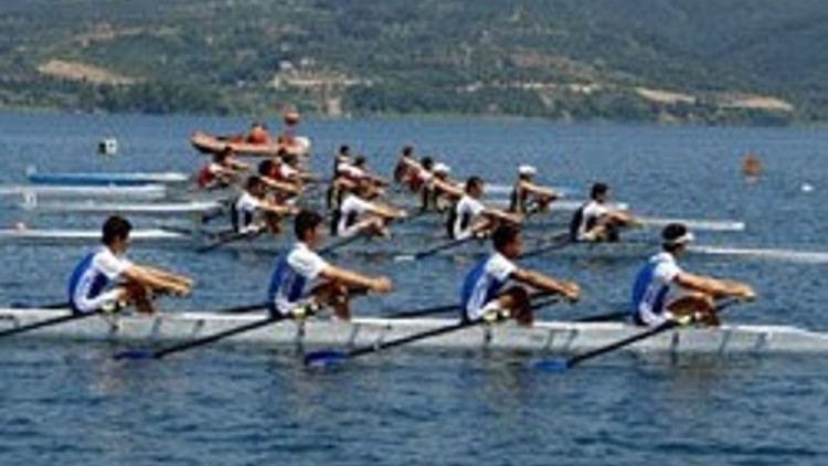 Sinopta deniz küreği heyecanı