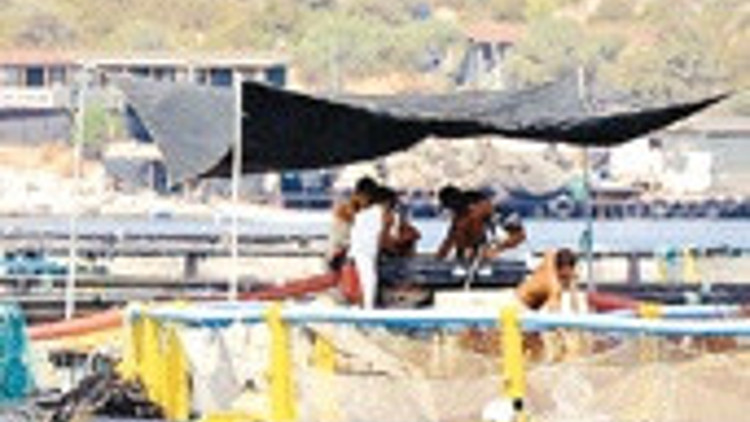 40 koy öldü