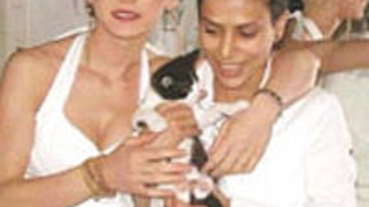 Rus mom porno onlayn tomosha qiling Yubka ostidagi oyoqlarning fotosurati