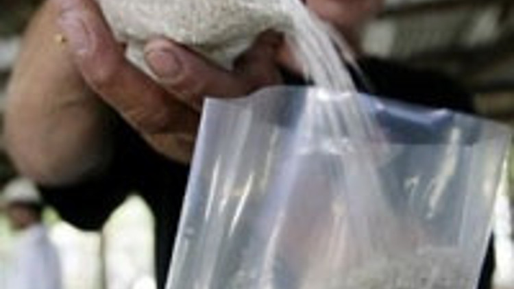 Aç insanlar gıda gemisine saldırdı: 6 ölü