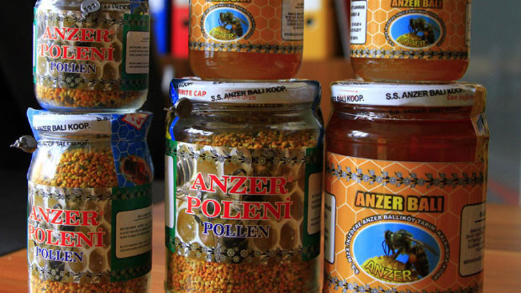 Anzer balında 2 tonluk rekor üretim Anzer balında 2 tonluk rekor üretim