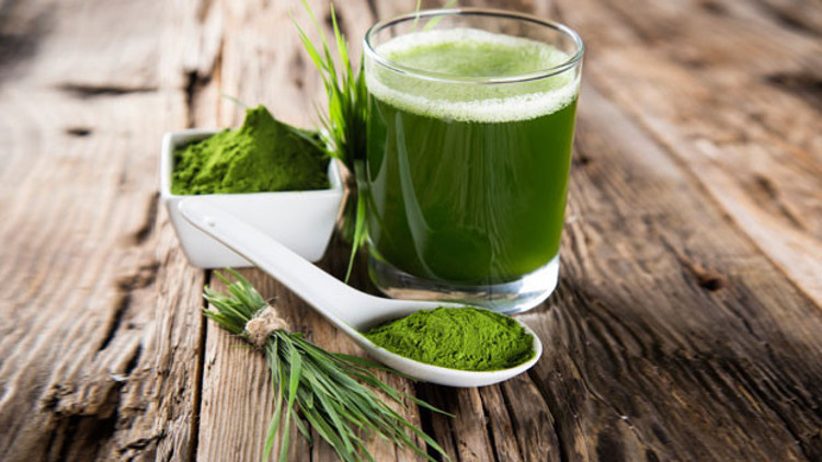 Spirulina nedir Faydaları nelerdir