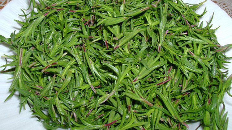 Zahter ıhlamurun tahtına göz dikti