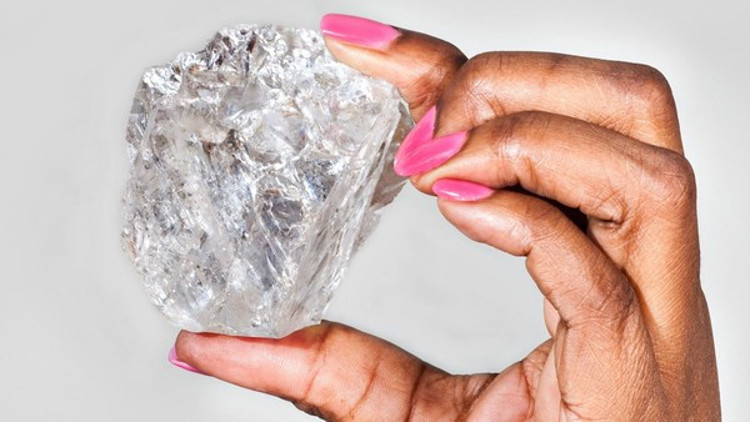 21. yüzyılın en büyük elması bulundu