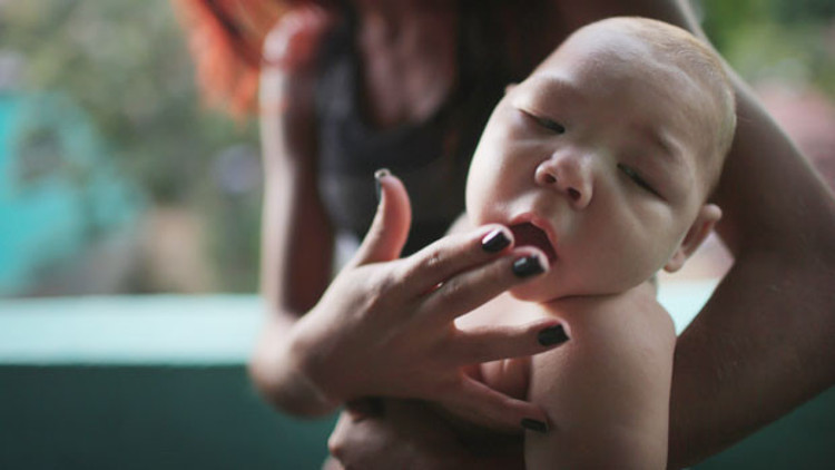 Amerika kıtasını Zika virüsü paniği sardı