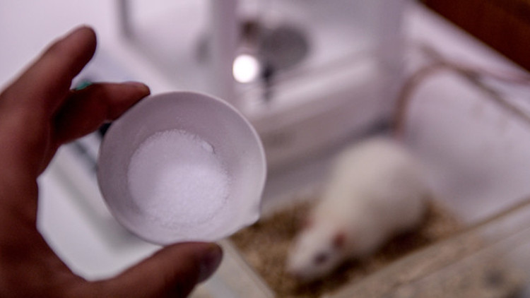 Zihin gelişiminde bor mucizesi