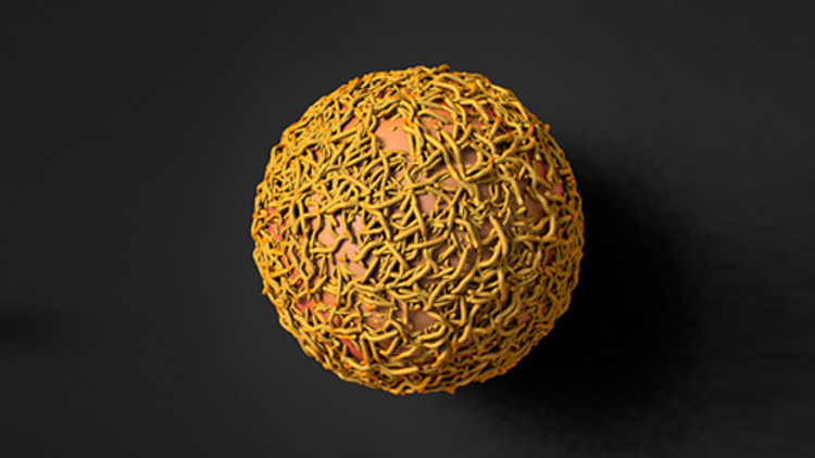 Savaşçı T hücresi ile kanser tedavisi