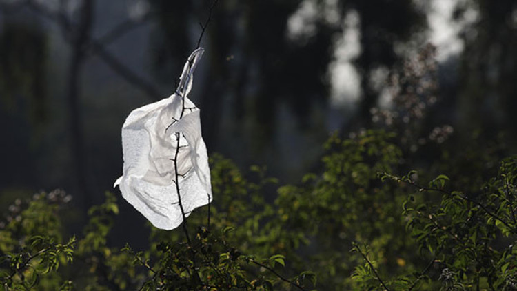 Plastik poşetin zararları