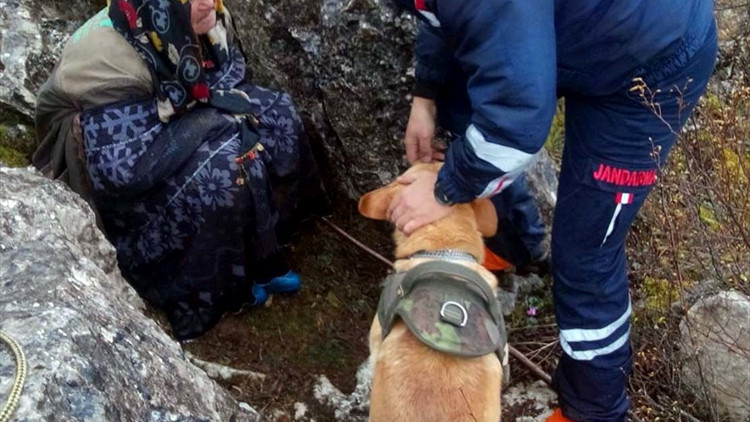 Kayıp kadın ormanlık alanda bulundu