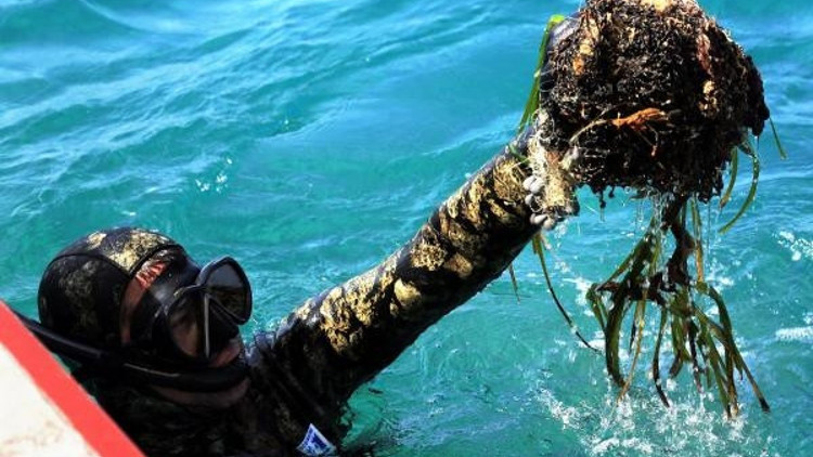 Turgutreiste deniz dibi temizliği