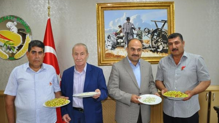 Nizipte yılın ilk fıstığını getiren çiftçilere altın Nizipte yılın ilk fıstığını getiren çiftçilere altın