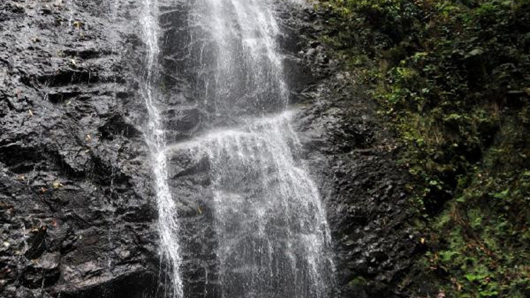 Rize’ye 4 yeni tabiat parkı