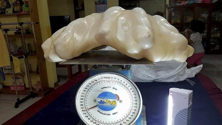 100 milyon dolarlık inciyi 10 yıl saklamış