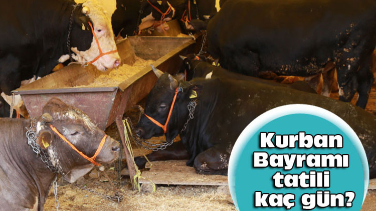 Kurban Bayramı ne zaman (Kurban bayramı tatili kaç gün oldu)