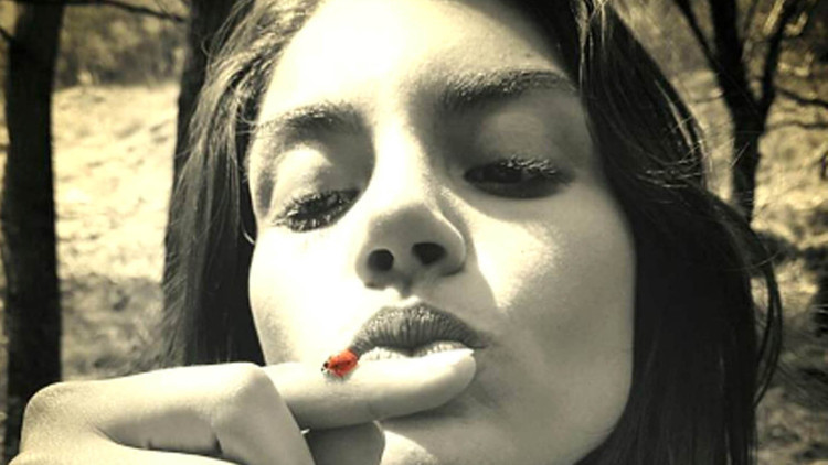 Şans diledi Şans diledi