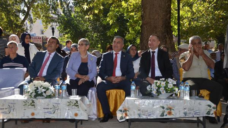 Prof. Dr. Canan Karatay: Bütün zeytinlikler benim