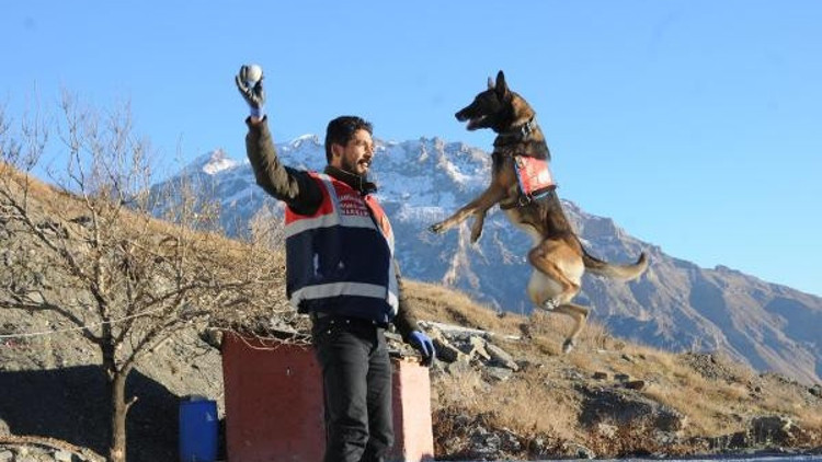 Terörle mücadelede Mehmetçiğin en büyük destekçileri Terörle mücadelede Mehmetçiğin en büyük destekçileri