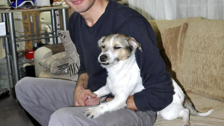 İnternet fenomeni köpek İnternet fenomeni köpek