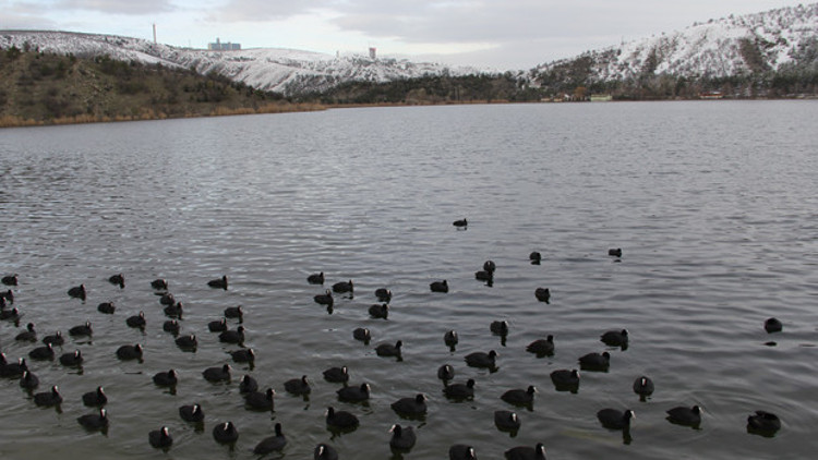 Eymir herkesin Eymir herkesin