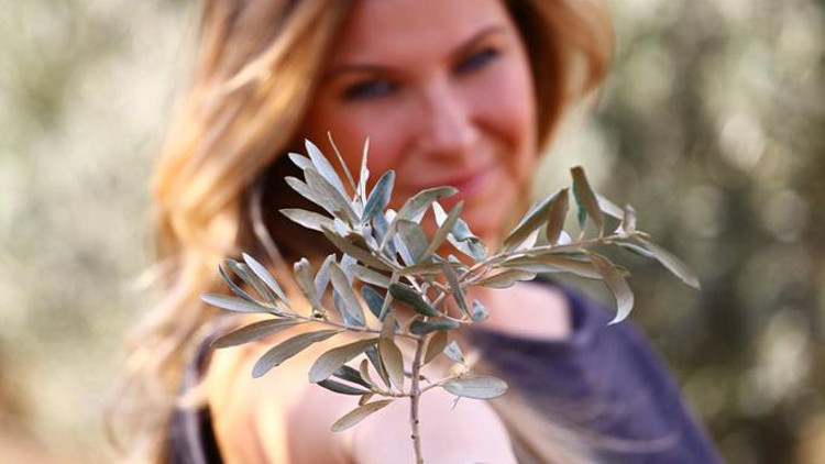 Zeytin temalı kahvaltı Zeytin temalı kahvaltı