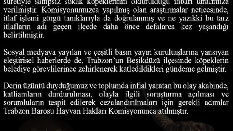 Beşikdüzü’nde köpek itlafı iddiası Trabzon Barosu’nu harekete geçirdi