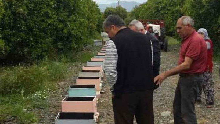 Ortacada 50 kovan arı telef oldu